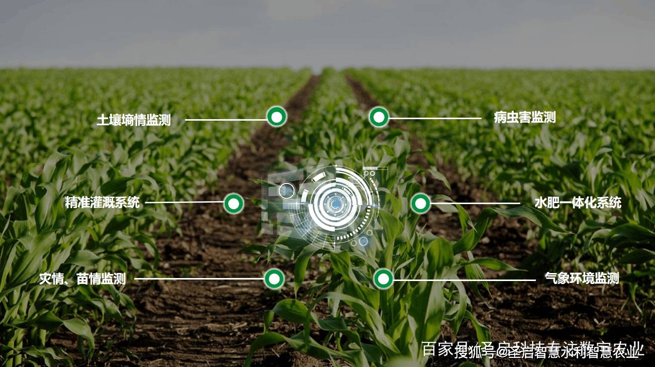 AYX GAMING-特色青训“绿色+智能+专业”行业生态逐步成型，行业竞争力不断增强的简单介绍